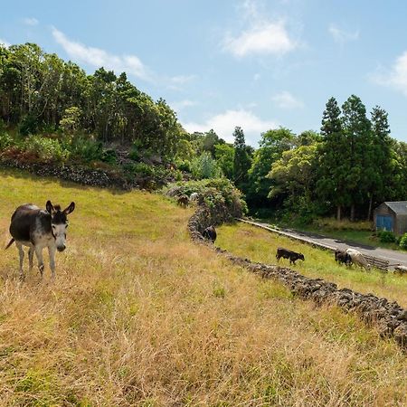Casa Da Figueirinha Villa Calheta de Nesquim Екстериор снимка