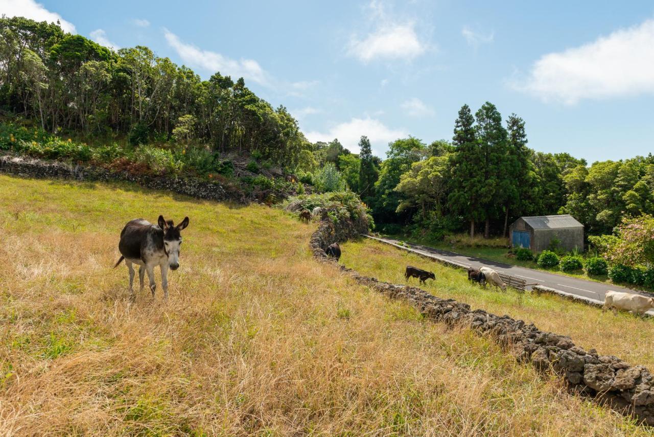 Casa Da Figueirinha Villa Calheta de Nesquim Екстериор снимка